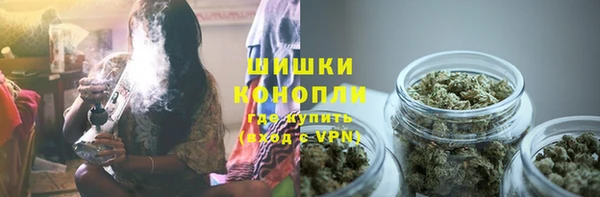 гидра Сосновка