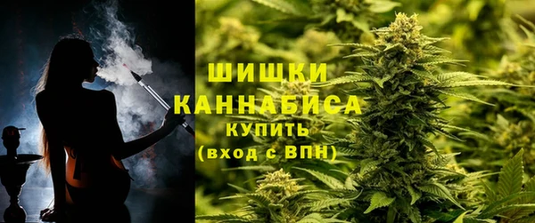 стафф Бородино